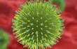 influenza-virus-3d